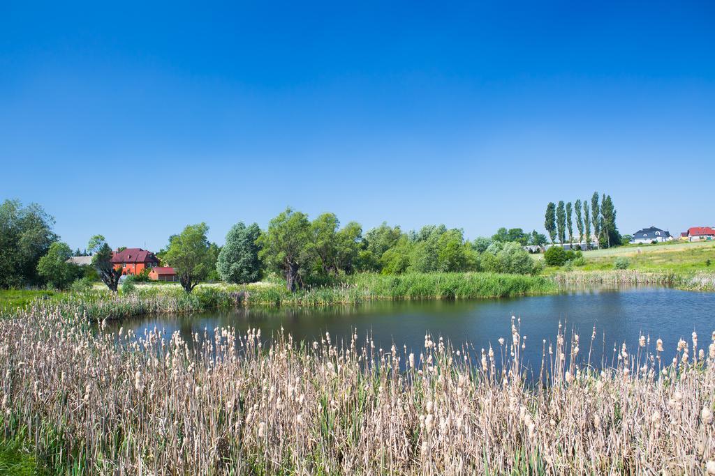 Borkowo  Zloty Staw Bed & Breakfast エクステリア 写真